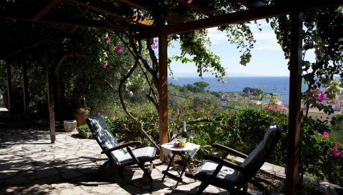 Bougainvillea - Foto 1