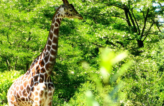 Urban Oasis near Downtown - Foto 19