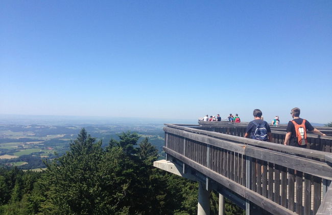 Cottage in Rinchnach Bavaria Near the Forest - Photo 22