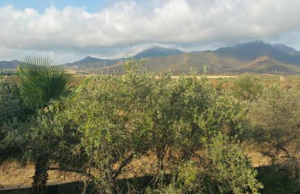 Villa Ines con piscina sud Sardegna - Foto 76