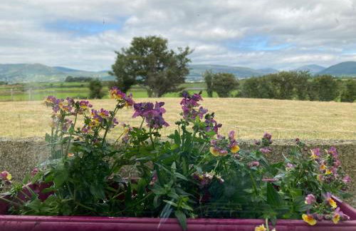 The Loft - Shemara - Foto 20