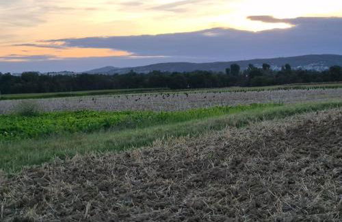 Bungalow, Uneinsehbar, 8 Personen maximal, 3 Personen oben, 5 unten - Foto 16