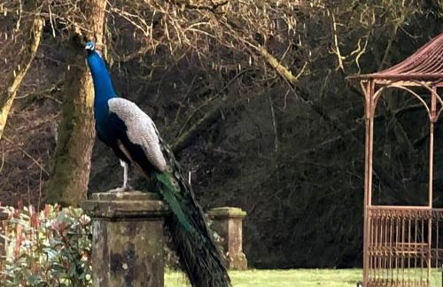 Bonshaw Grange-Riverside Country Retreat, & HotTub - Photo 7