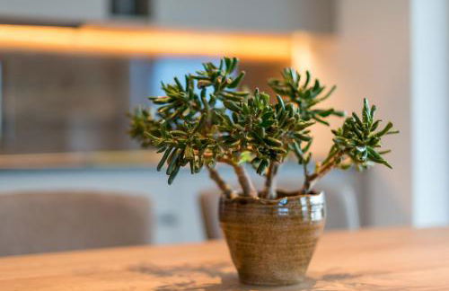 Moar am Ort - Foto 40