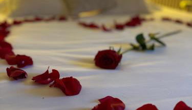 Au cocon des Corbière - La bohème - Foto 3