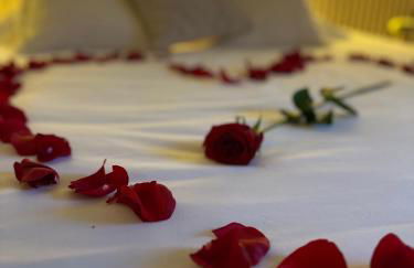 Au cocon des Corbière - La bohème - Foto 3