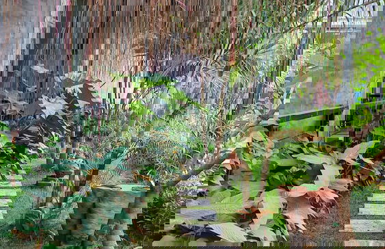 Flora Land Resort Chiang Mai - Foto 22