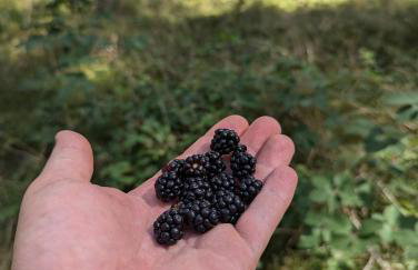 Król Puszczy - unikatowy dom, jezioro 80m, szlak Krutyni - Foto 73