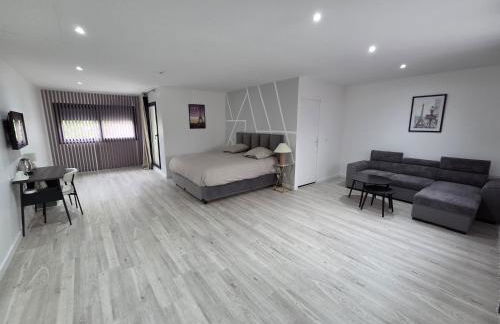 Le 46 Appart Hotel Entre Paris Disneyland Parc Asterix Navette - Foto 23