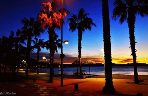 le cytharis - Foto 40