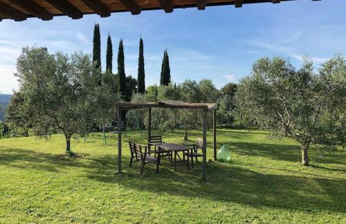 Agriturismo TerraMadre - Foto 47