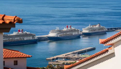 OurMadeira - BelleVeva - Foto 2, Other