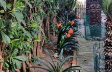 La casa di Ulisse - Foto 14