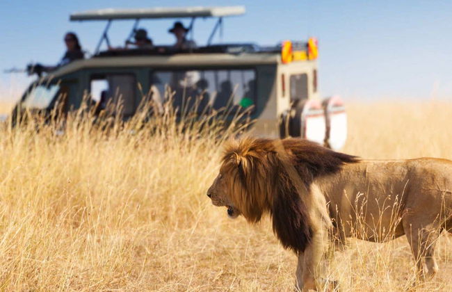 Safari privado de 6 días por Masái Mara, Amboseli y el lago Naivasha - Foto 1