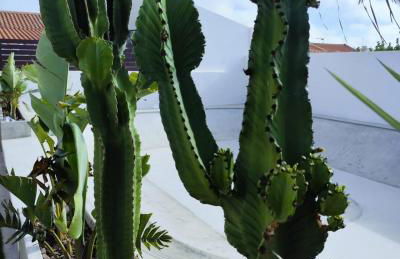 Casa Biota - Foto 56