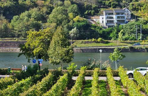 Hakans moselblick Ferienwohnung 2 - Foto 47