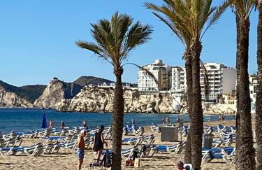 La casa del león dormido - Foto 51