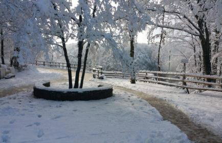 Apartmani Bilić - Foto 8