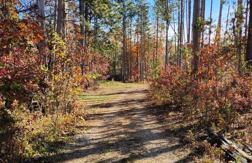 The River Cabin - Foto 43