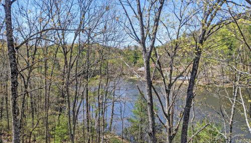 Lakin' it Easy! - Powder Horn Mountain - Foto 3