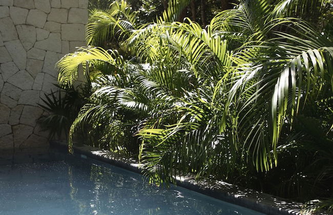 Aparthotel in Tulum with swimming pool and garden - Photo 28