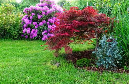 Apartment in Kreischa 3123 - Foto 11