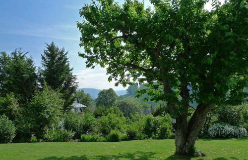 Ferienwohnung Peterberg 22, 45qm - Foto 24