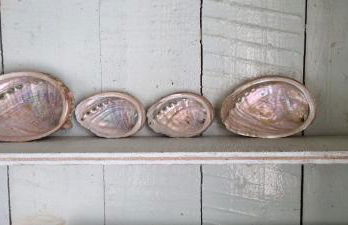 Georgette-sur-Mer - Foto 28