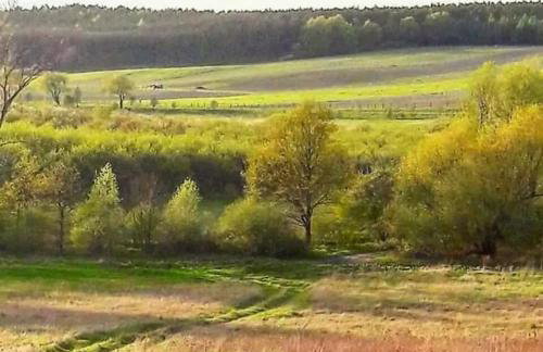 Agroturystyka Zaborski Sad - Foto 49