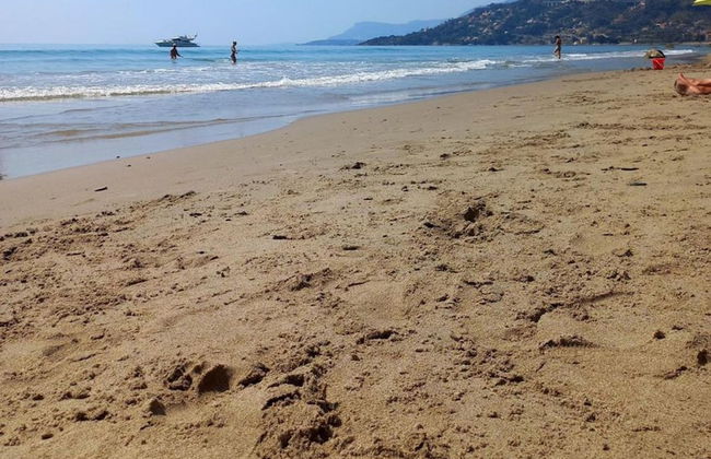 Chic Coastal Hill Escape - Foto 40