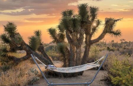 Desert Diamond- Joshua Tree Cowboy Pool and Spa - Foto 1