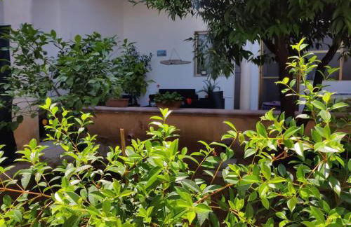 La casa del nonno - Foto 20