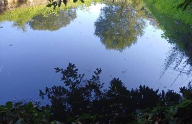 Moinho do Formigal - Foto 43