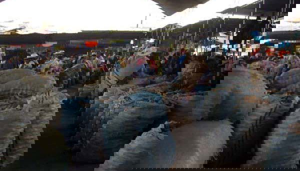 Visitando el mercado de la Cancha