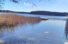 Ferienhaus Im Wäldchen in See Nähe - Photo 37