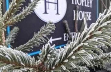 The Hideaway at Hopley House - Foto 9