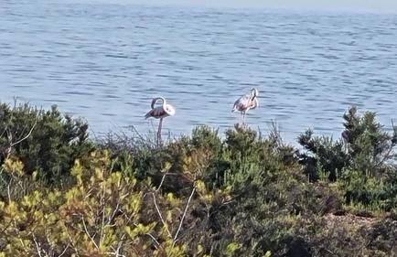 Alma&Mateo - Foto 43