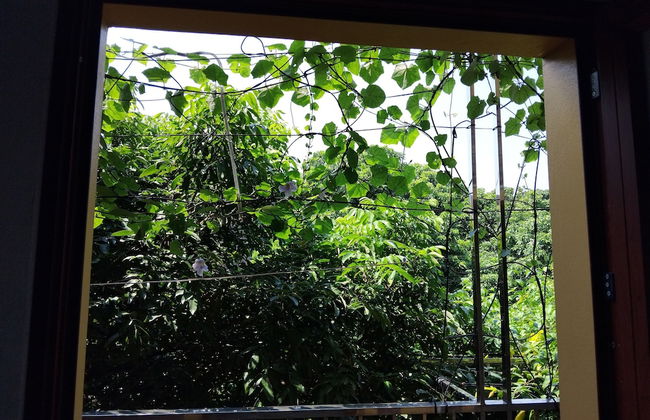 Green Space Homestay - Photo 39