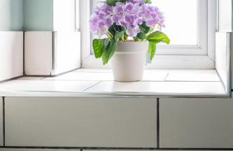 Mallard house - Photo 34