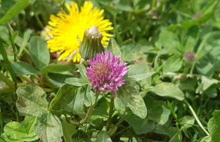 Ferienwohnung Wildgatter - Photo 40