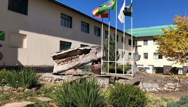 São Joaquim Bike Tour - Foto 2