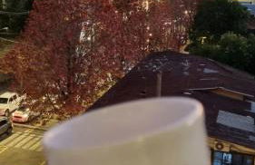 GRAMADO TOP CENTRO - Photo 10