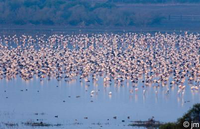 DescubreHome La Casa del Medico - Foto 29
