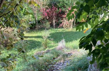 Im Grünen Bereich - Foto 7