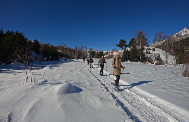 Snowshoeing in Valle de Tena - Photo 8