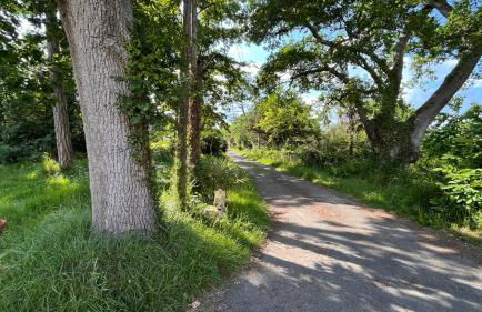 Métairie de Moutiques - Photo 58