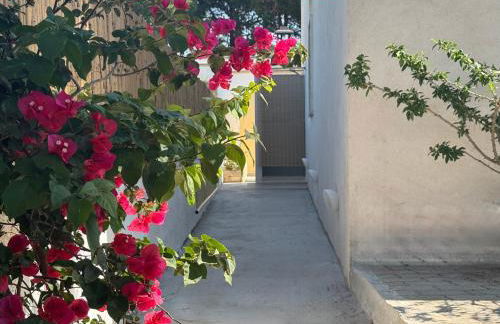 Villa Lucia - Foto 20