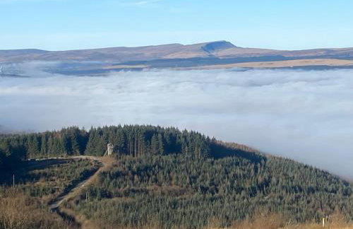 Herbert Place - Foto 42