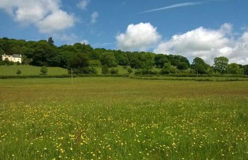 Plas yn Yale with mountain views from all windows - Photo 23
