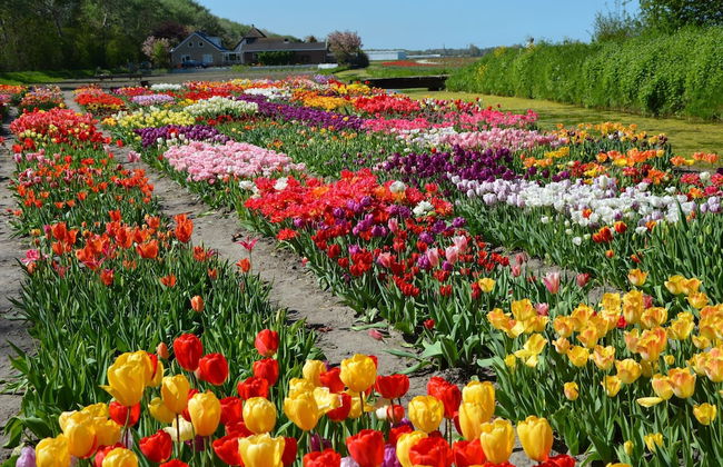 Lovely Home in Noordwijkerhout near Sea Beach - Foto 36